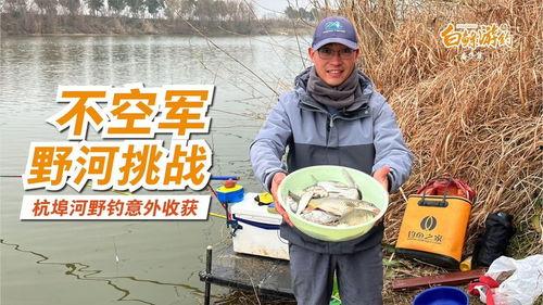 白条杀手视频,视频揭示金融欺诈背后的真相